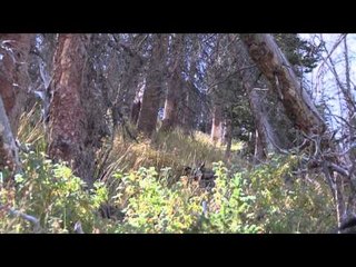 Extreme Desire TV - Archery Elk Hunt with Randy Yow