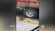 Pasajeros de un autobús fueron agredidos con piedras y palos en Colombia