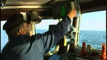 Surpêche en Méditerranée : l'alerte de Bruxelles
