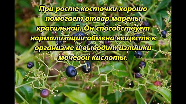 Народные средства от косточки на ноге