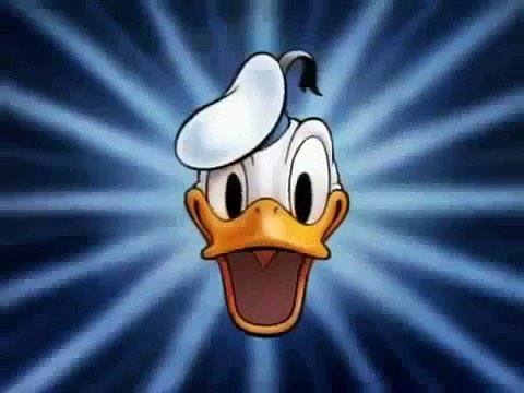 Donald duck, La chambre de dessin animé Disney Donald espanol latino DailyCartoo - DonaldD