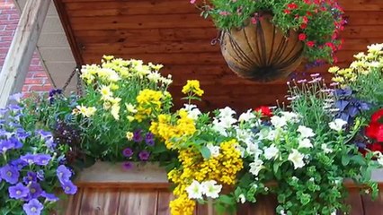 Кашпо и подвесные цветочные корзины в доме и во дворе