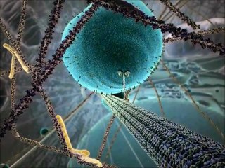 Voici tout simplement l'expression matérielle et physio-logique du bonheur.