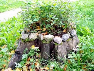 Клумбы своими руками. Клумба пень