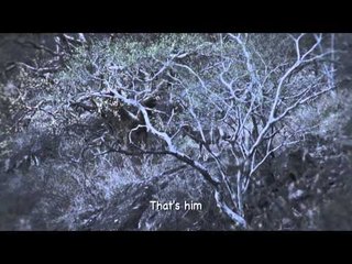 Headhunter Chronicles - Mexico Desert Sheep