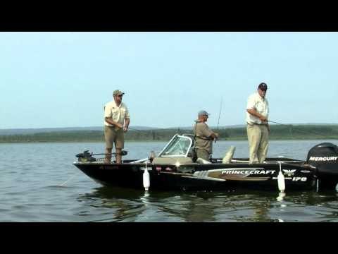 Trigger Effect - Fishy Business