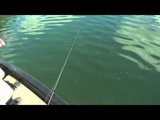 Fish TV - Non-Stop Bass Action