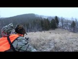 SOLO Hunter TV - Winter Elk in Montana