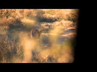 Headhunter's TV: Untold Stories of Hardworking Men