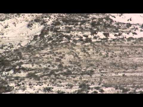 North American Hunter - Elk? What Elk?