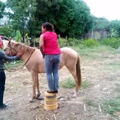 That's not how you mount a horse!