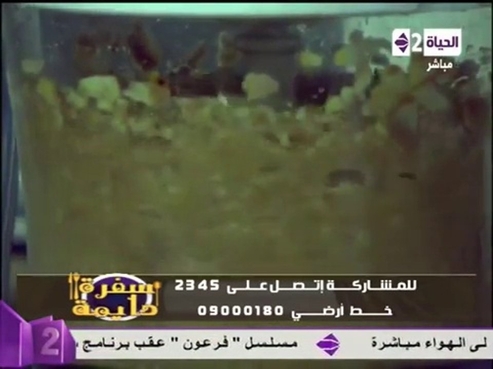 فيسبوك