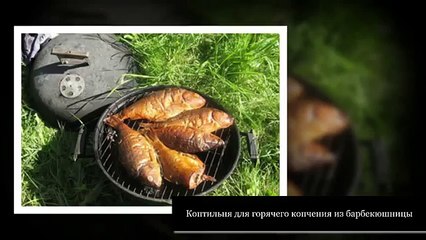 Коптильня для мяса и рыбы. Варианты коптильных устройств