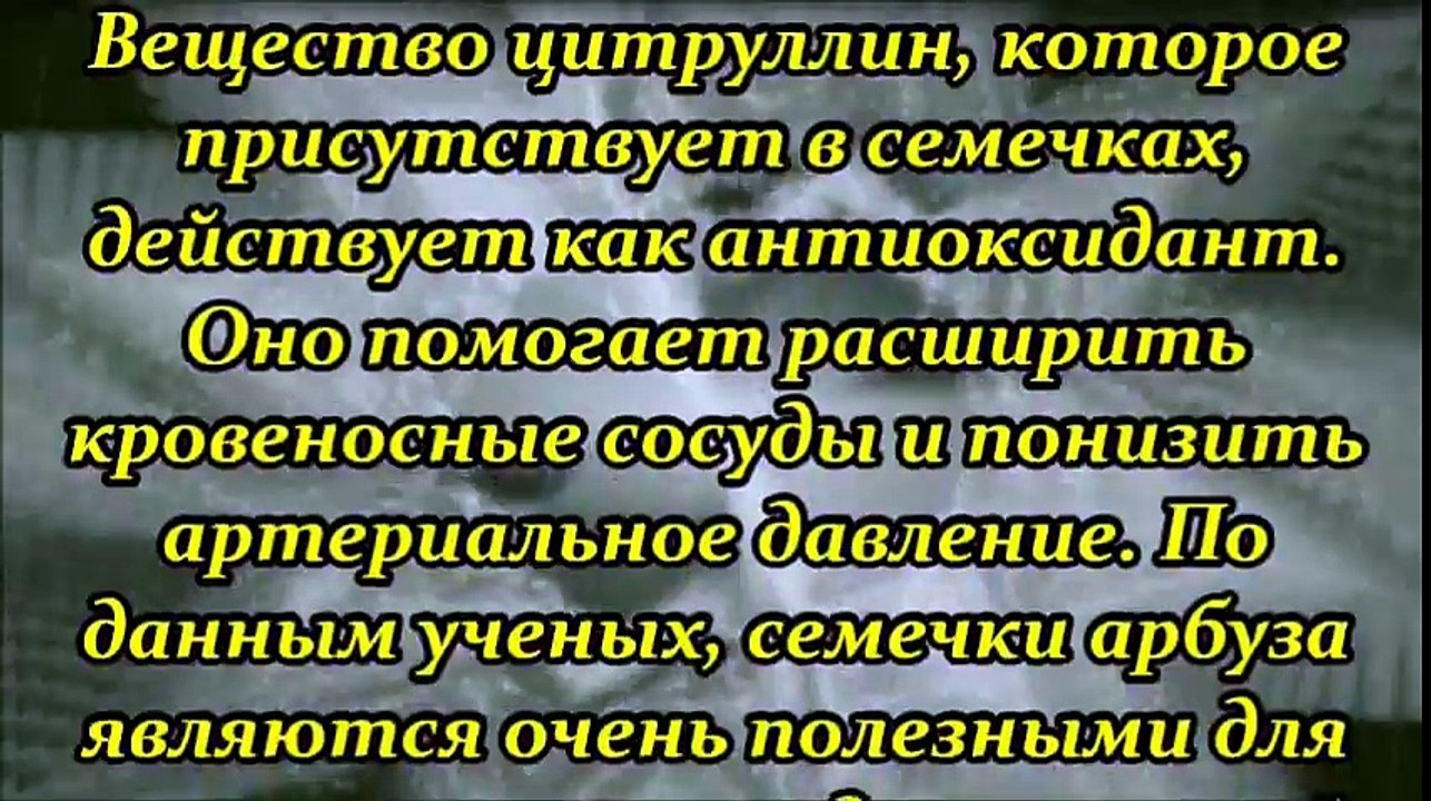 АРБУЗНАЯ АПТЕКА - ПОЛЬЗА АРБУЗНЫХ СЕМЕЧЕК