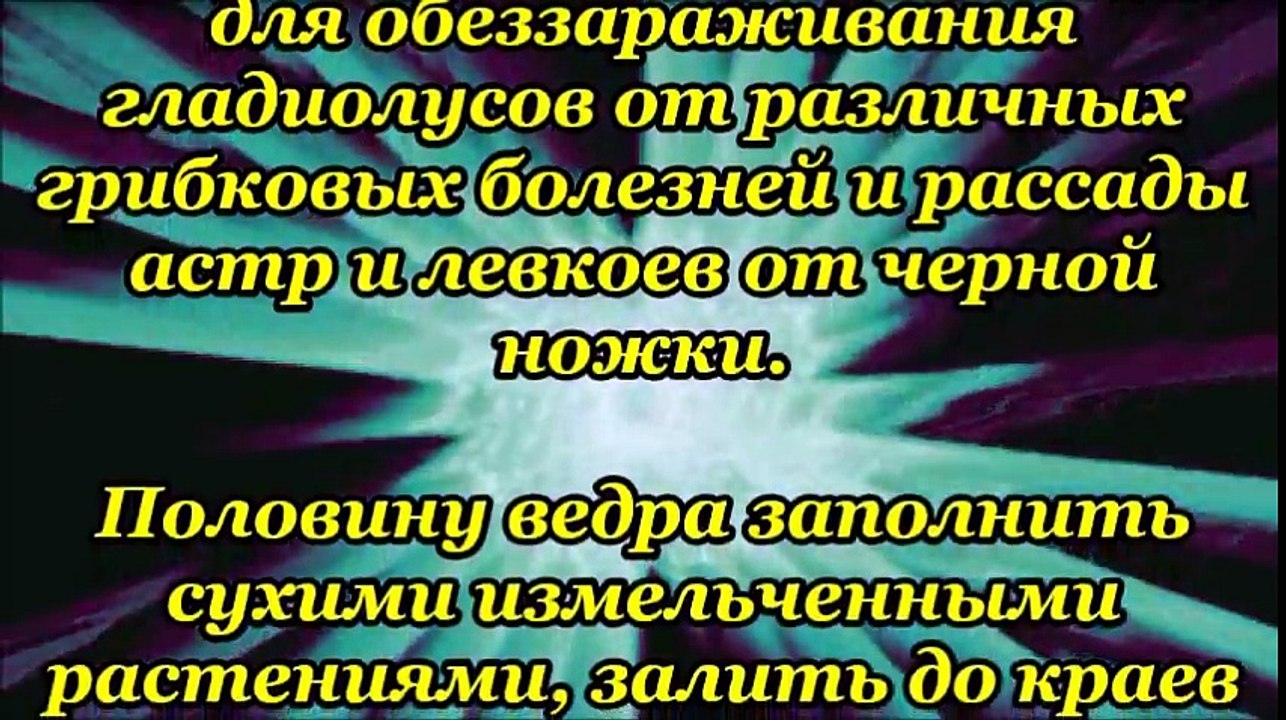БАРХАТЦЫ ПРОТИВ ВРЕДИТЕЛЕЙ
