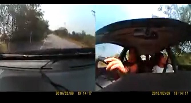 Un serpent apparaît sur le tableau bord d'une voiture