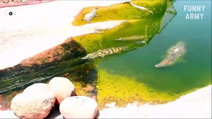 Funny videos 2016 Try Not To Laugh Or Grin Challenge Impossible & Funny Pranks || FUNNY ARMY