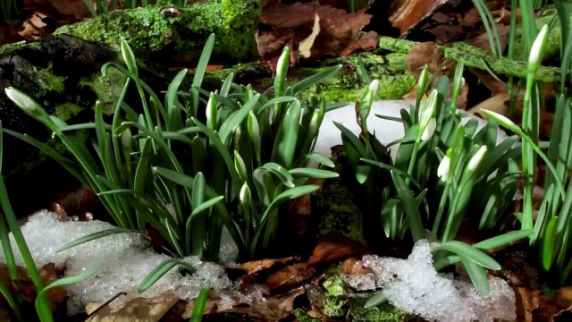 Planet Earth Most Amazing Beautiful Places HD