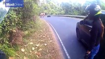 شاهد رد فعل فتاة حينما واجهت فيلا في الطريق