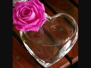 Kurdish Music Mansour Kawyan & Samuel T. - Shirin - 2011