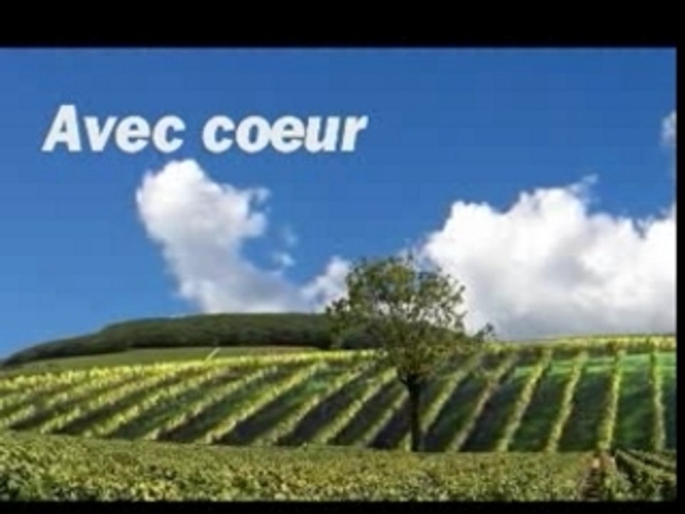 Législatives 2007