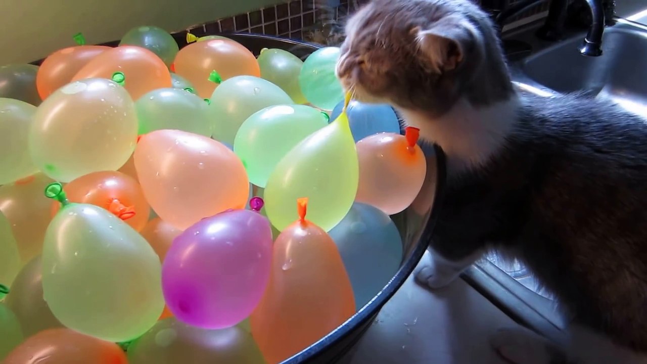 Cute animals And Babies (18)
