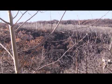 Steve's Outdoor Adventures - Burris Annual Elk Hunt Part Two