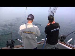 Fishful Thinking - Fishmaster Salmon