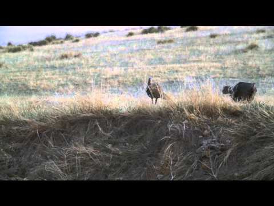 Babe Winkelman's Outdoor Secrets - Springtime Turkey Ritual
