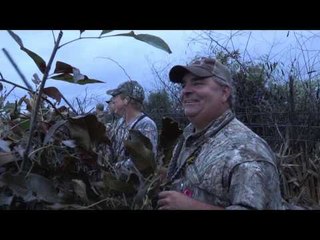 Mojo TV - Mojo Teal: Spinning in the Lonestar