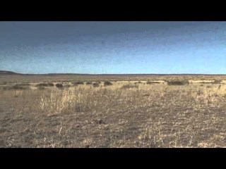 Predator Quest  - Jeff and Les mixing up hunts while being successful