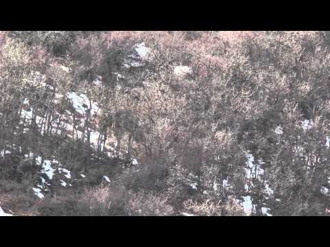 Extreme Outer Limits TV - Rut in Colorado Part 2