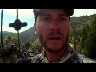 Intrepid Outdoors - Public Land Bulls