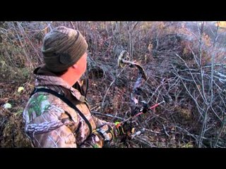 Canada in the Rough  - Spot & Stalk Mulies