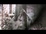 Dean Partridge's Canadian Whitetail - The Big Leagues