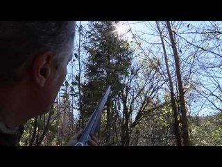 Quebec Outfitter's Camp - Pavillon de l'Orignal (woodcock)