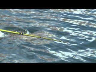 Fishful Thinking - Cree Lake Monster Pike