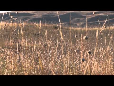 Buck Ventures Outdoors - Travel Abroad