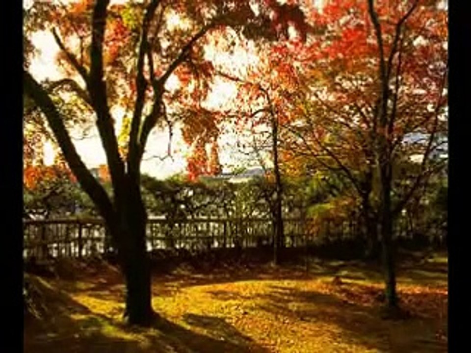 Nilüfer - Taa Uzak Yollardan