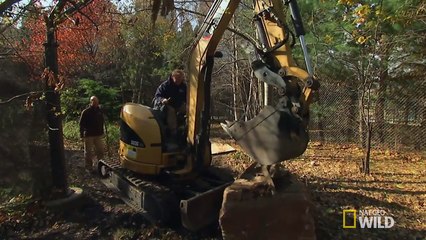 ROCKING AND ROLLING ( bad lip reading Star Wars)