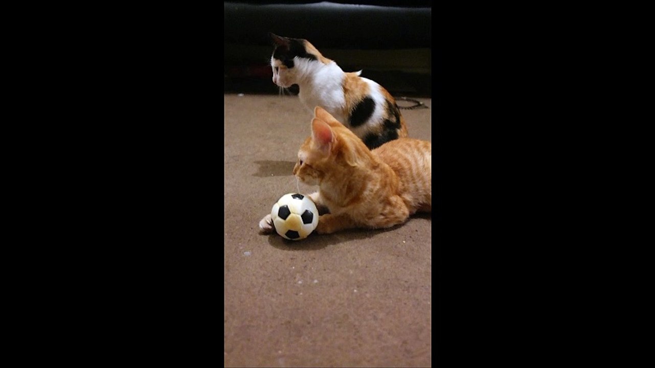 Mi Rico jugando a ser futbolista