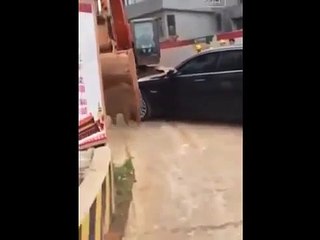 EXCAVADORA SE ABRE PASO A LO BRUTO (360p)