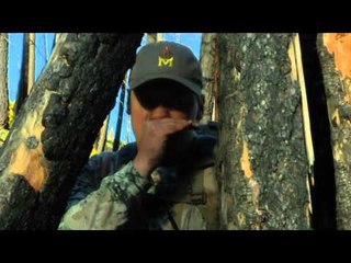 The Zone - Saskatchewan Black Bear/ New Mexico Elk