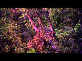 Hornady's Dark and Dangerous - Hornady's Dark and Dangerous