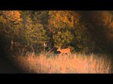 North American Hunter - Oklahoma Whitetails