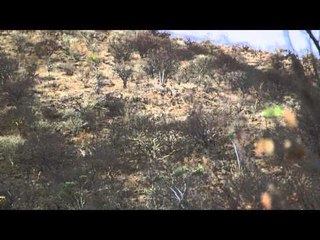 Flatliners - Namibia Part 1