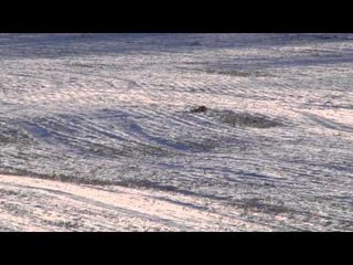 Just Kill'n Time - Kansas Here We Come!