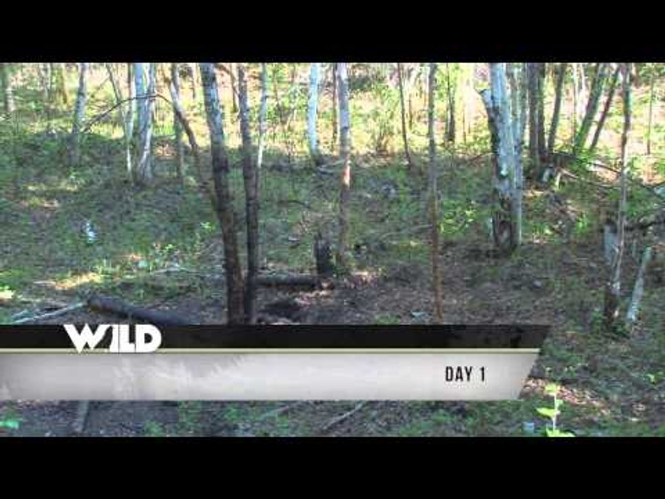 Silent Draw Outdoors - Boy Dreams Bears