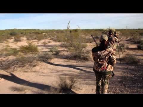 Where in the World is Colorado Buck? - Sonora Dark Horn Adventures