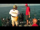 Fish TV - Land O' Lakes Walleye